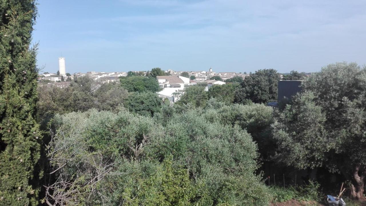 לינה וארוחת בוקר סן-ז'יל Le Mazet De Choubouloute מראה חיצוני תמונה